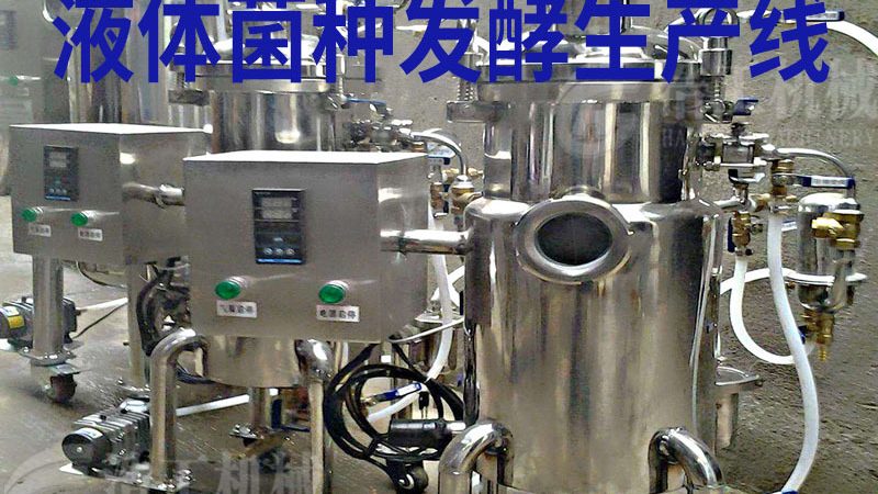 小型面食机械：型号解析与选型要点