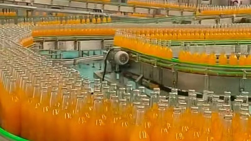 商用油炸机：揭秘其分类与选购要点
